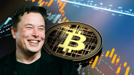Elon Musk and His Cryptocurrency Association